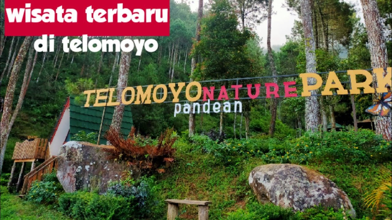 Telomoyo Nature Park: Keindahan Alam dan Aktivitas Menarik